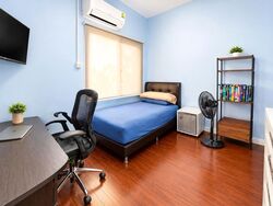 Thomson Park (D20), Terrace #618295441